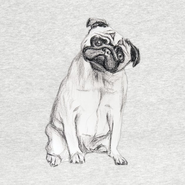 Pug-dog by Petras